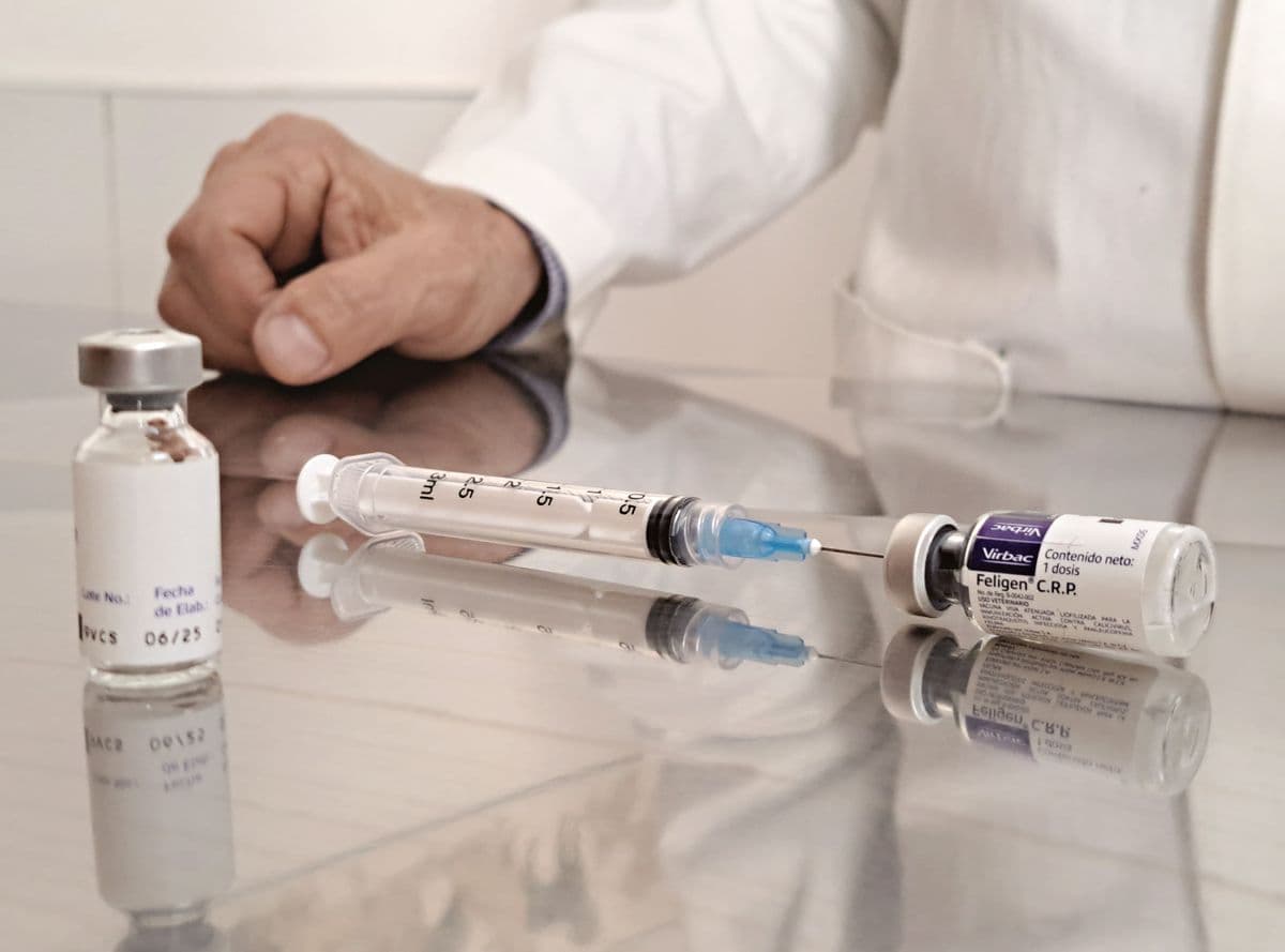 معدات تحصين الدواجن في الإمارات: كبائن الرش والقطارات وأجهزة الجناح ومسدسات الجرعات