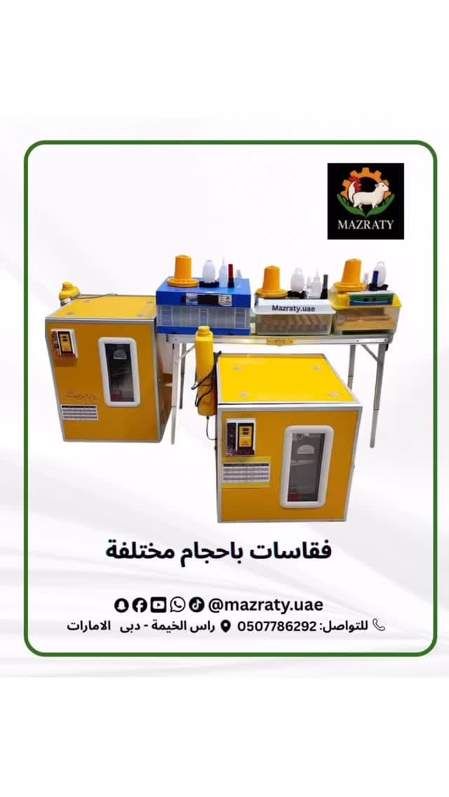 فقاسة بيض 528 أم 1000 بيضة؟ اختيار السعة المناسبة في الإمارات