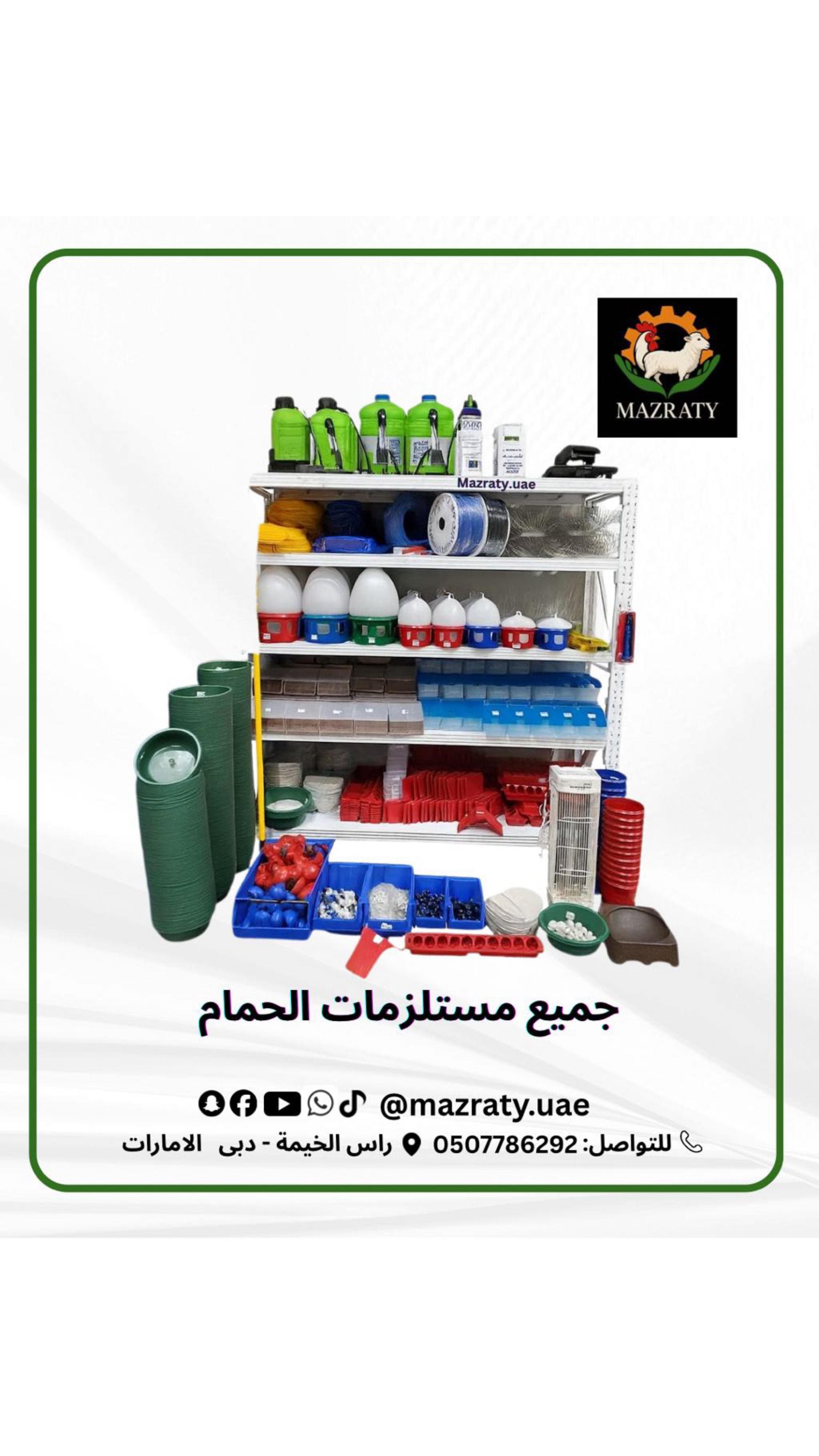 سقايات الكاسات أم خطوط النبل للدواجن؟ مقارنة لمزارع الإمارات