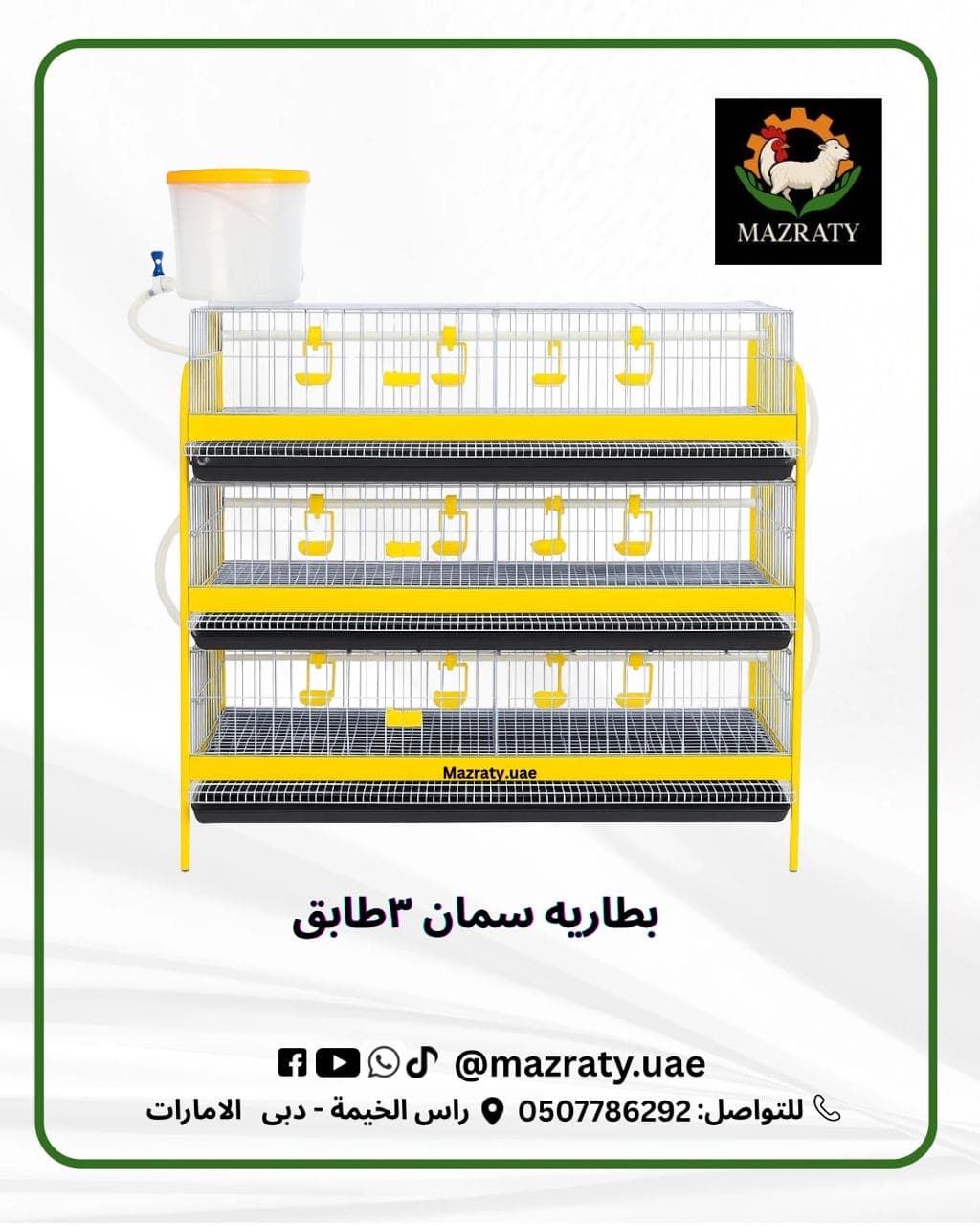 أقفاص تربية السمان: كل ما تحتاج معرفته لبدء مشروع سمان ناجح في الإمارات