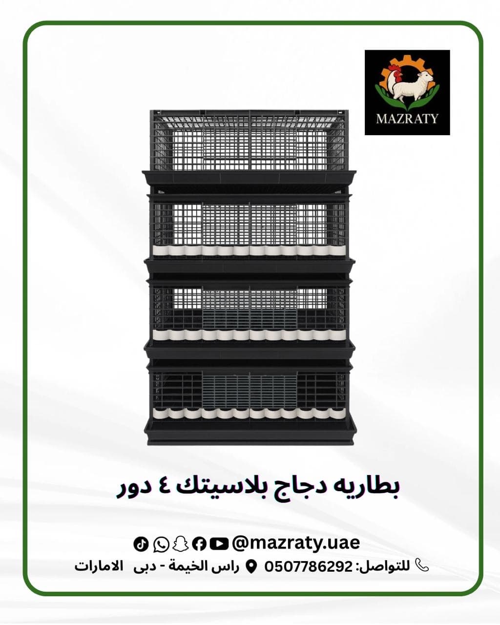 تجهيز حظيرة دجاج احترافية: من التخطيط إلى التشغيل في مناخ الإمارات