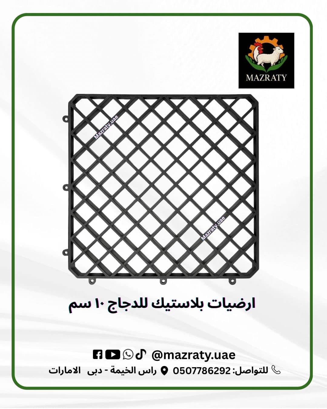 أرضيات دواجن بلاستيك: الحل العصري لمزارع أنظف وأكثر إنتاجية في الإمارات